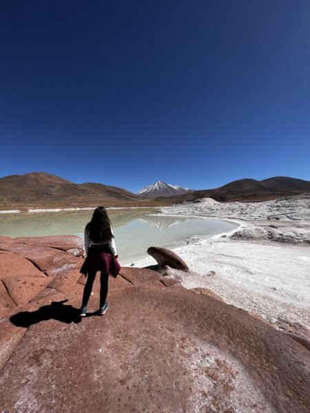 Piedras Rojas - Atacama
