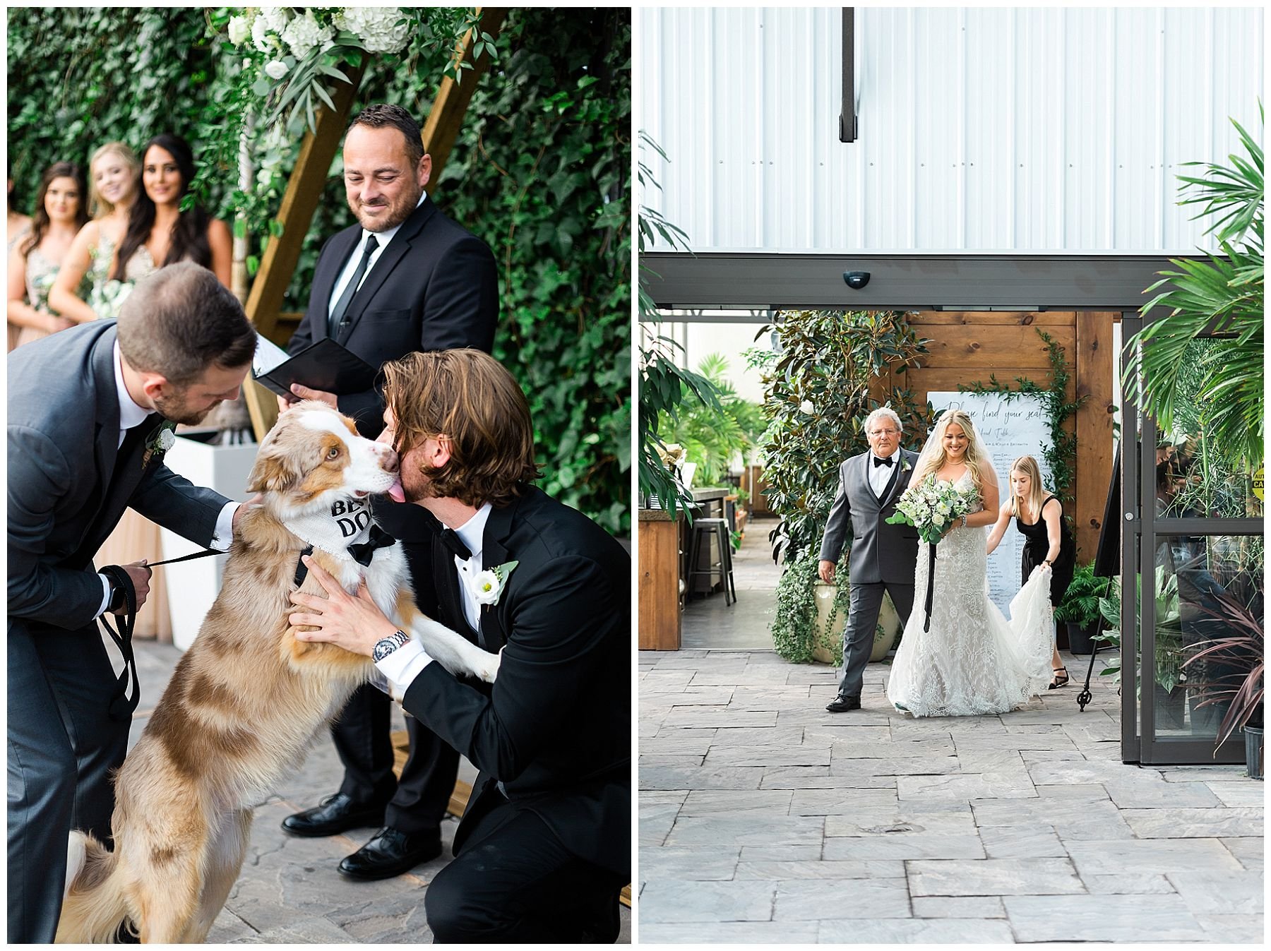  aquatopia conservatory is a dog friendly wedding venue in Ottawa
