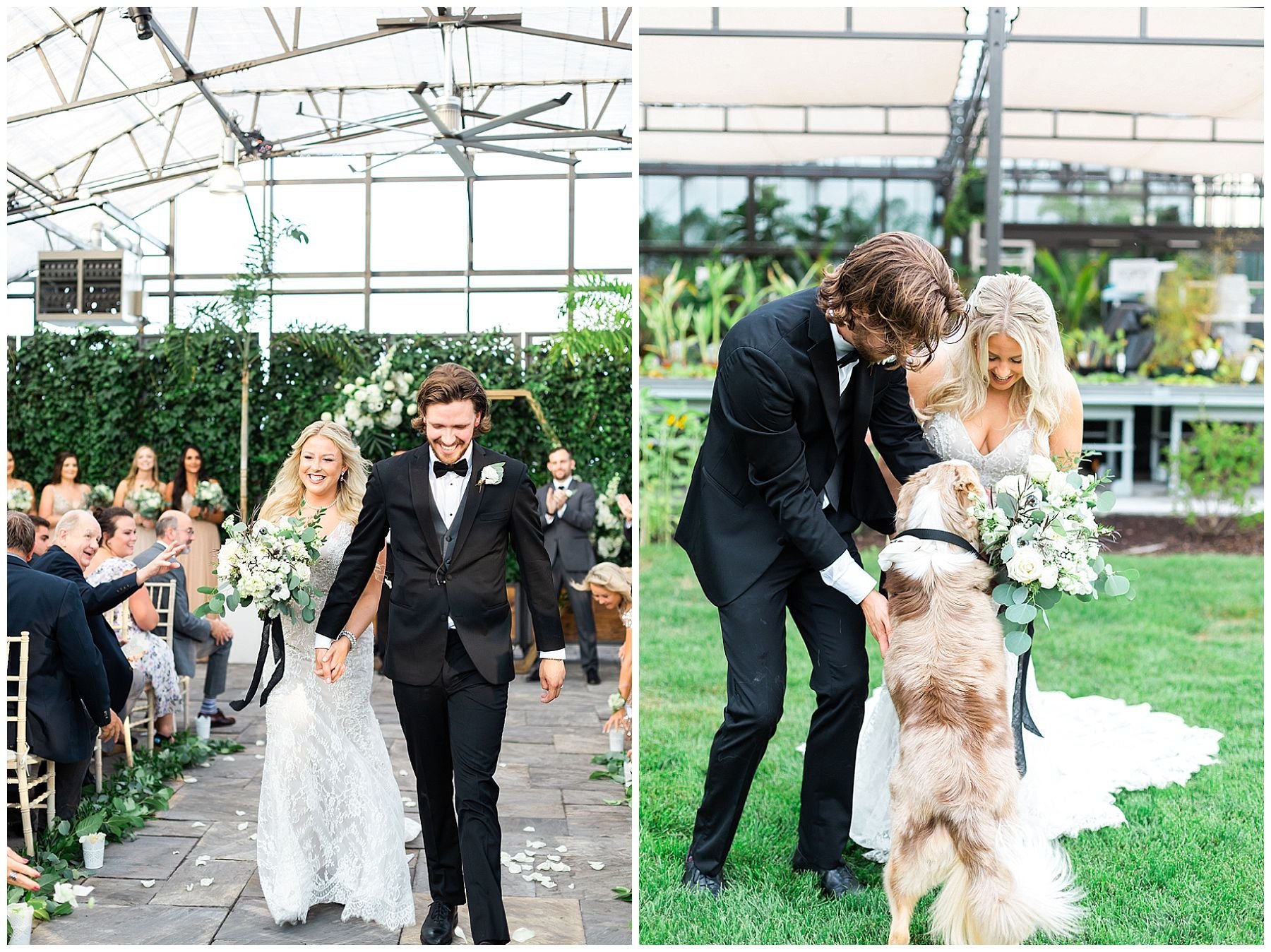 Aquatopia conservatory wedding bride and groom with dog