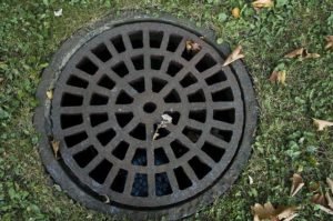 Sewer Repair and Tree Roots: Warning Signs and Treatment
