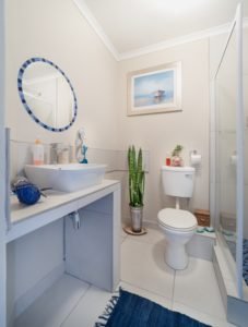 Toilet Repair or Replacement: Which Do You Need?