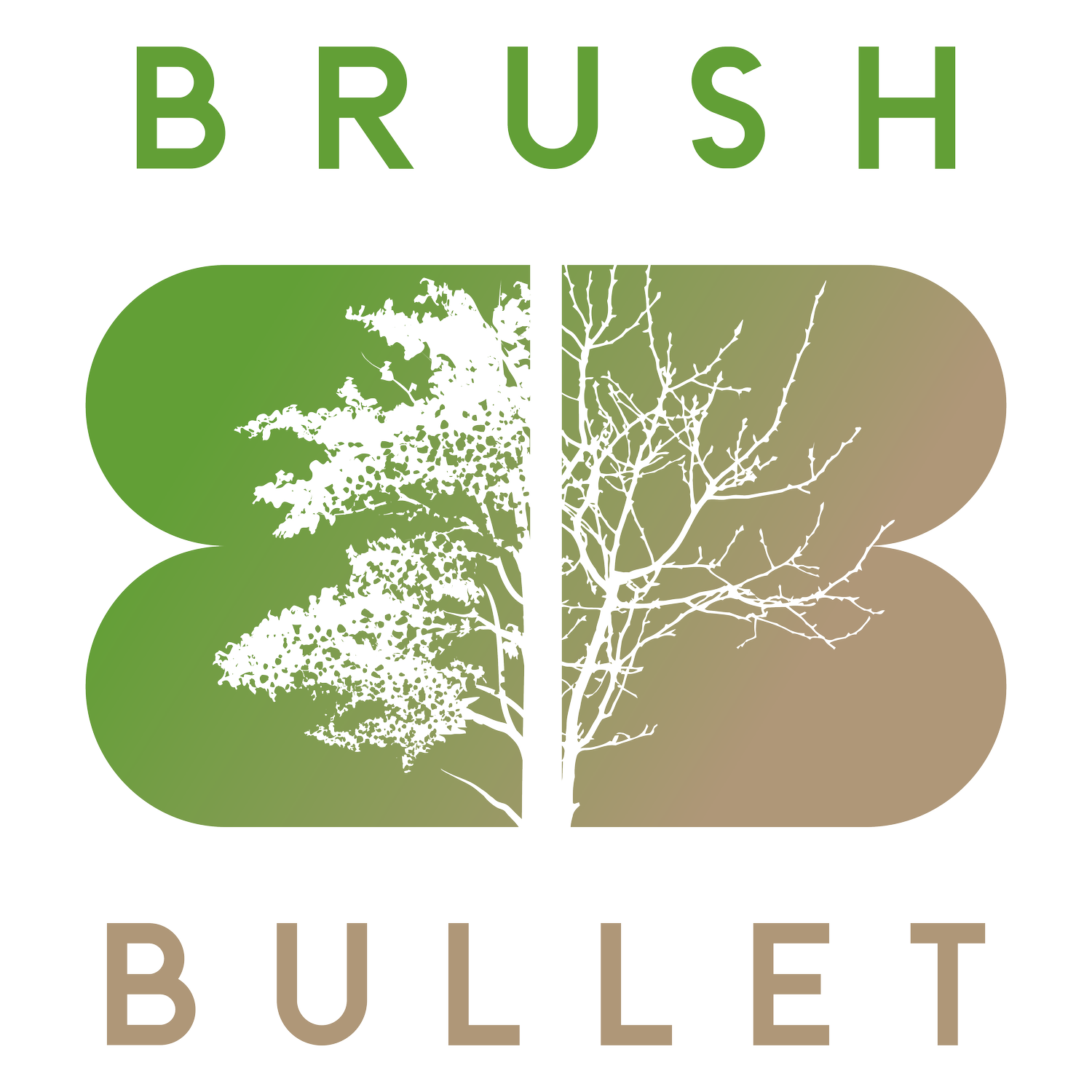 www.brushbullet.com