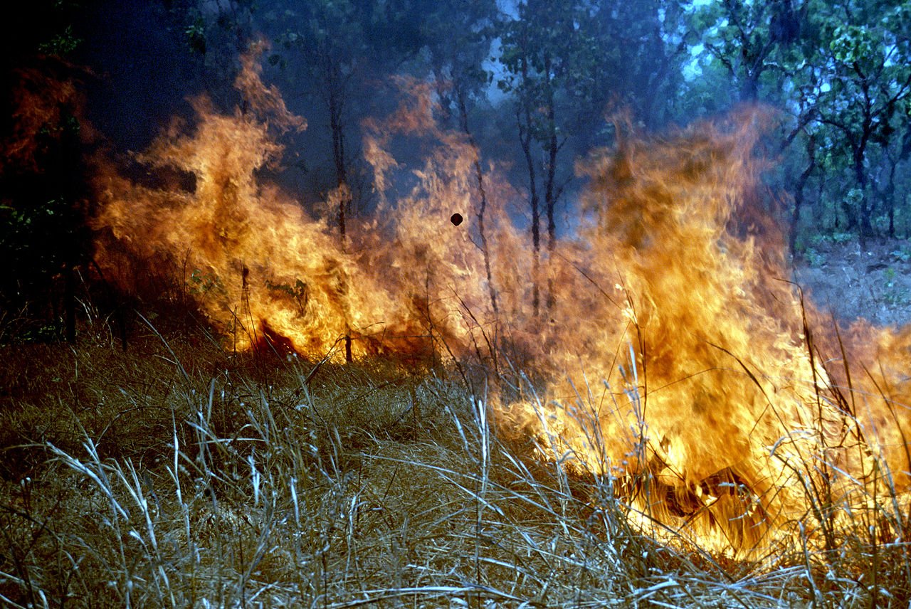 CSIRO_ScienceImage_367_Scrub_Fire