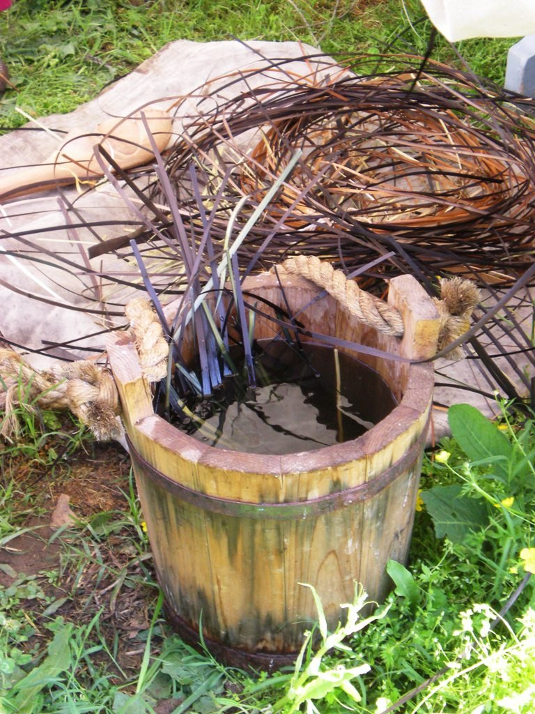Cherokee Basket Reeds dye