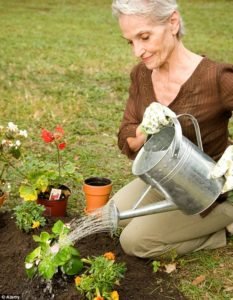 benefits of hiring a cleaning service - gardening