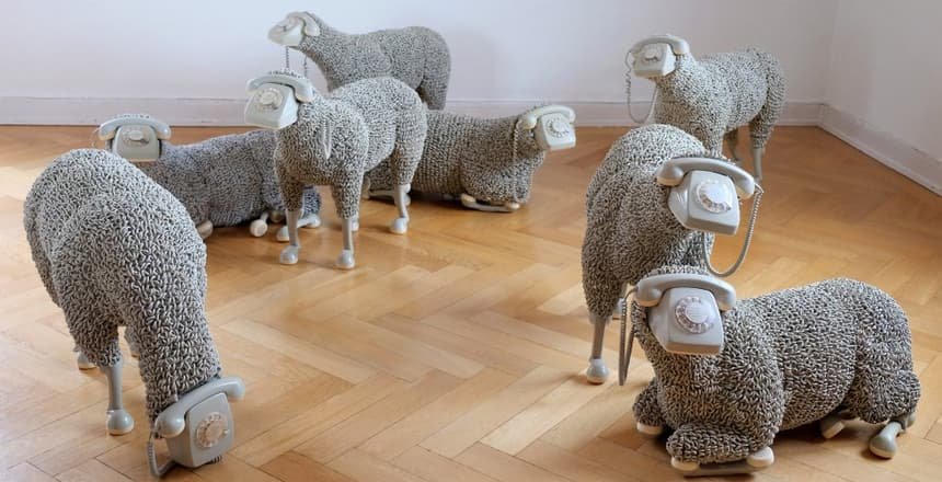 ¿Sueñan los androides con ovejas eléctricas? las ovejas de Jean Luces Cornec