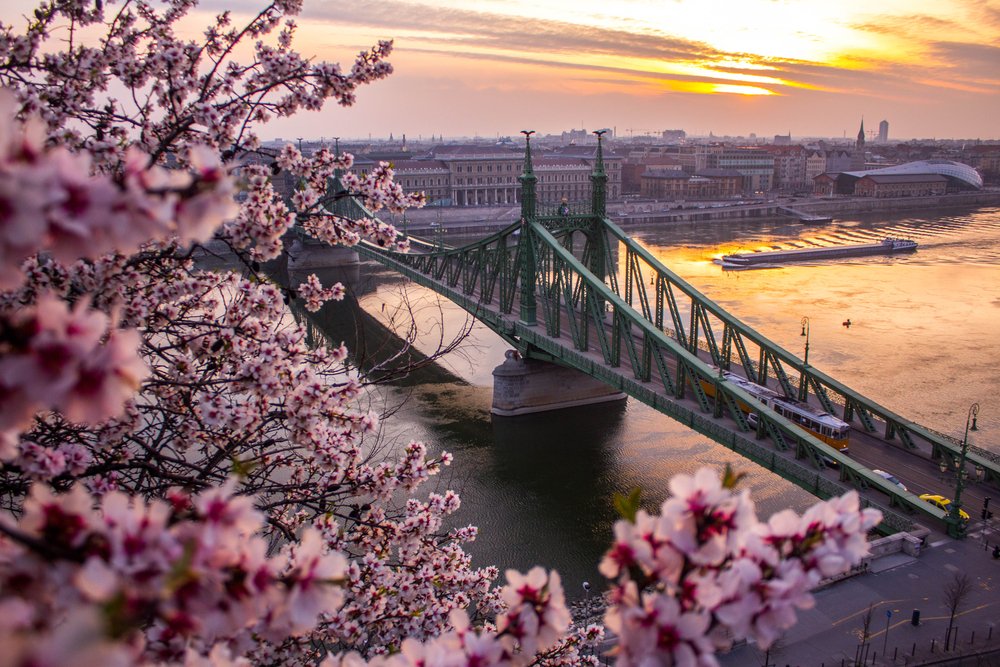 Budapest in blossom
