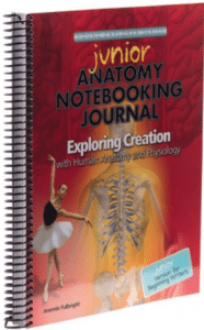 anatomy physiology junior journal