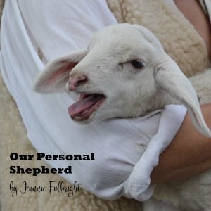 personal shepherd