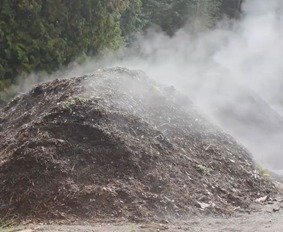 commercial compost in progress