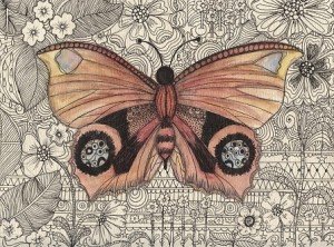butterfly 001