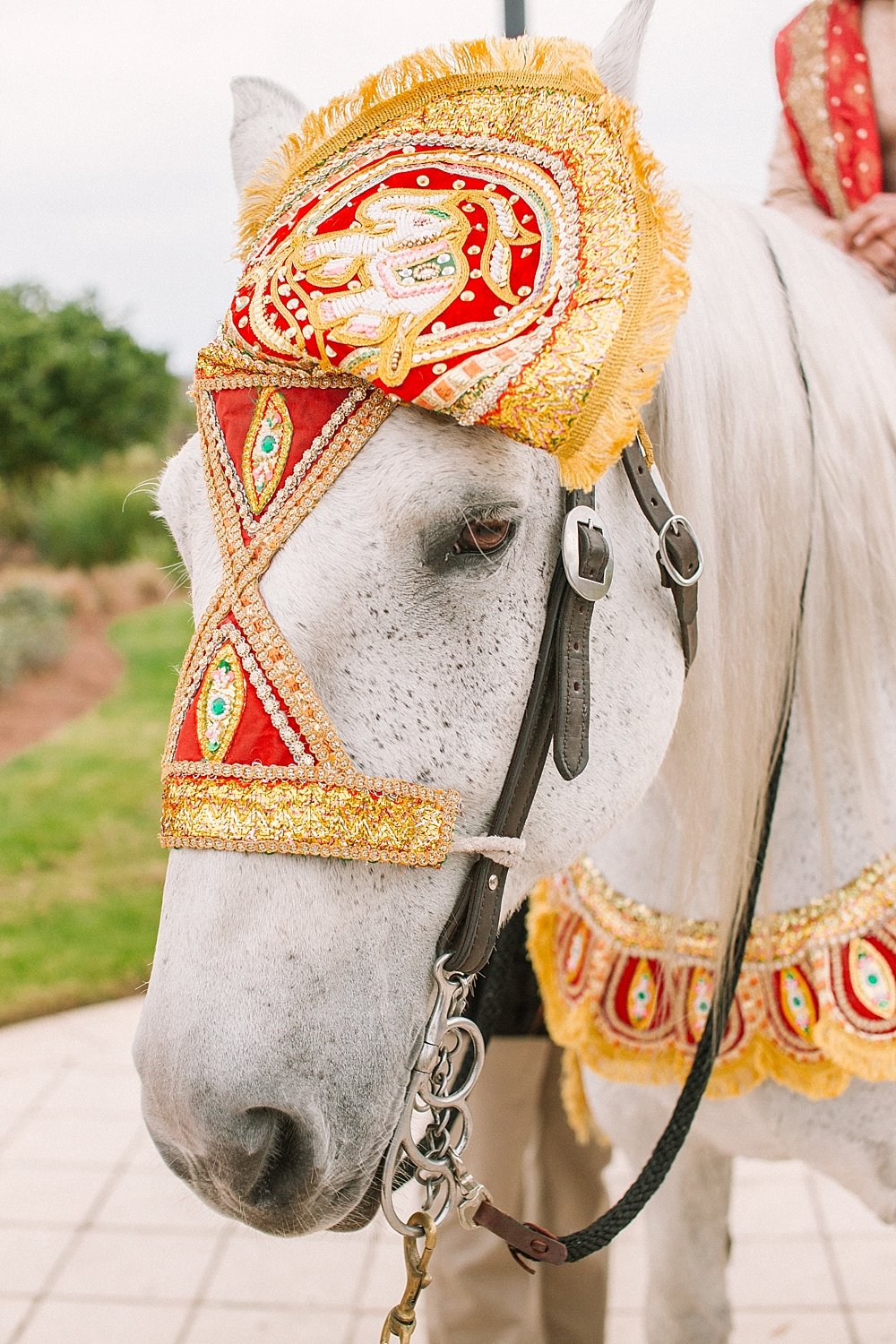  Colorful Indian Wedding Hilton Bonnet Creek Waldorf Astoria - Florida Wedding - Fine Art Photographer | Ashley Holstein Photography #horse #indianwedding
