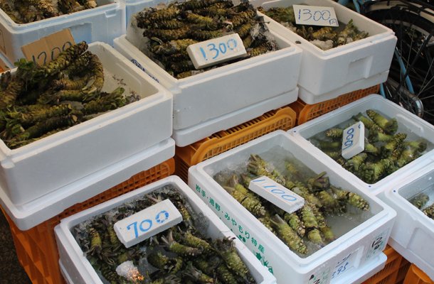 Sweet Monday, Tokyo, Japan, fresh wasabi, fish market, tsukiji