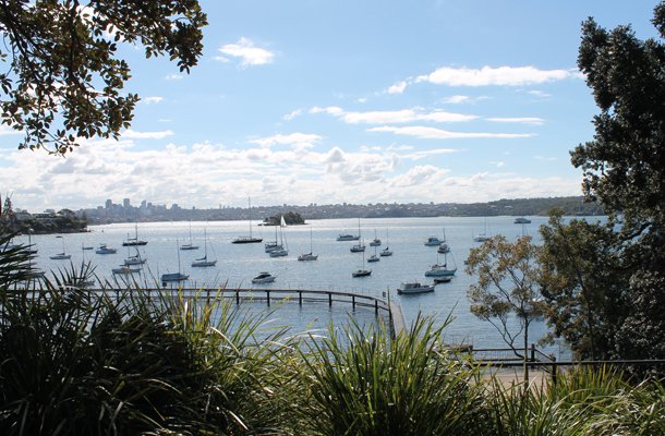 Sweet Monday, Double Bay, Sydney