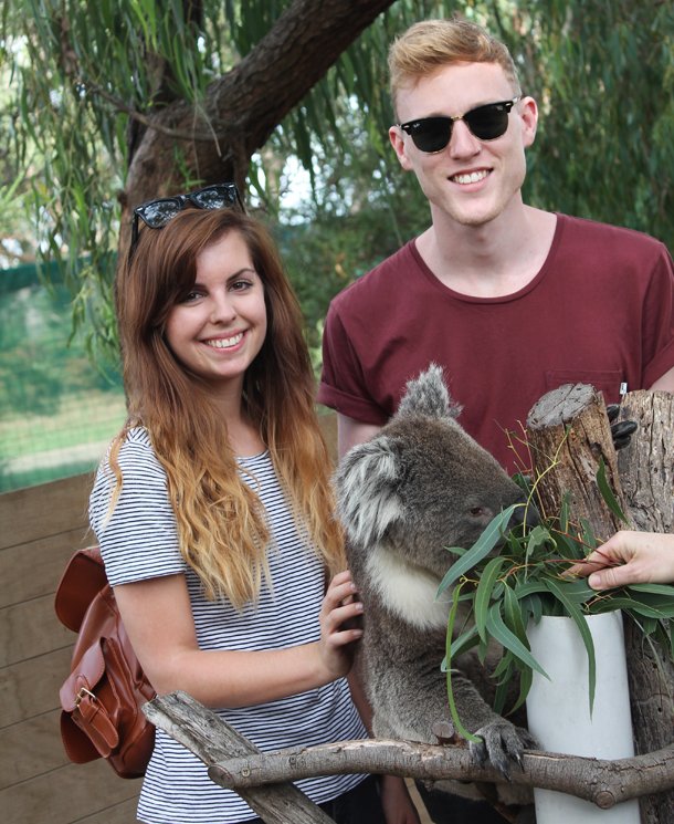 Moonlit Sanctuary, meet a koala, Melbourne