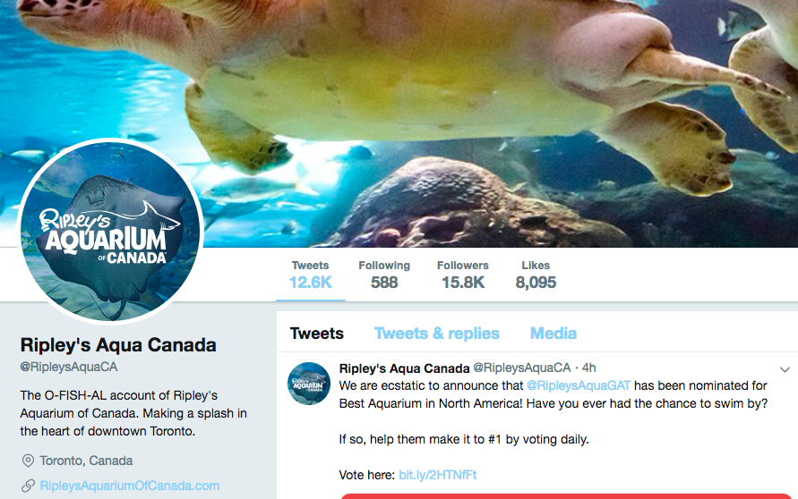 Twitter bio for Toronto Aquarium