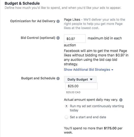 Options to set your ad budget