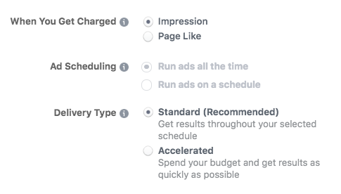 Advance budget options when setting up a Facebook ad