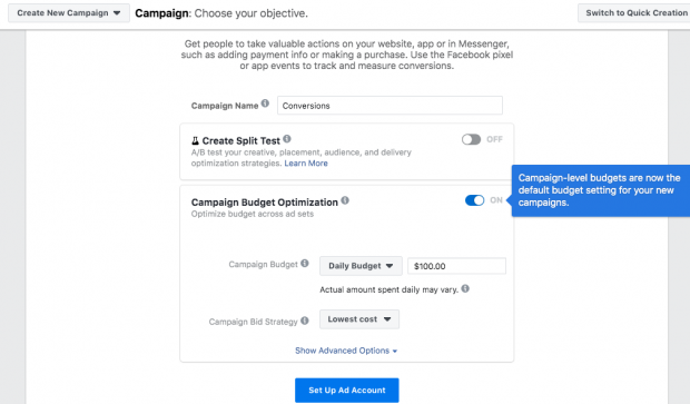 Campaign Budget Optimization tab with Daily budget set to $100 and Campaign Bid Strategy set to "Lowest cost"