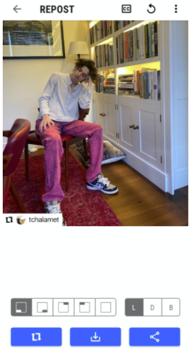 Preview of regrammed Timothee Chalamet photo, with regram icon and credit in corner of photo