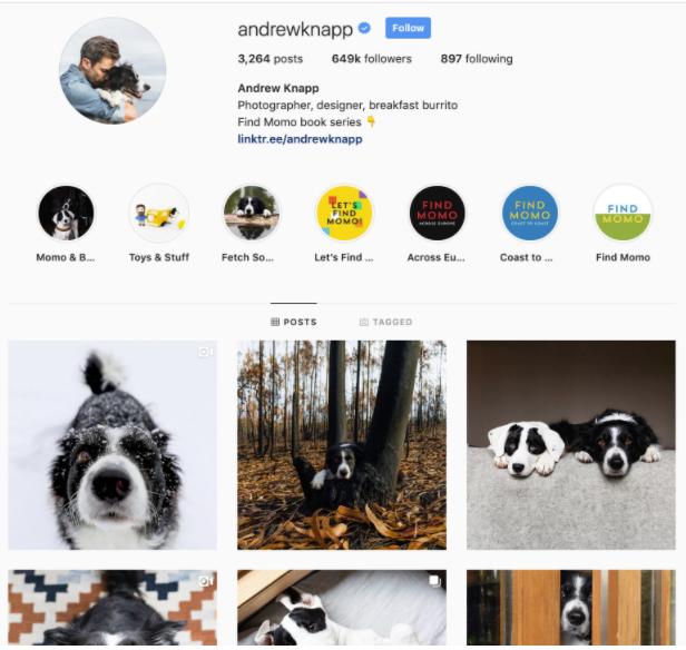 Andrew Knapp Instagram profile