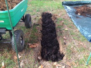 Layer of Compost
