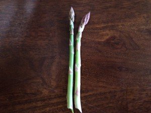 First Asparagus