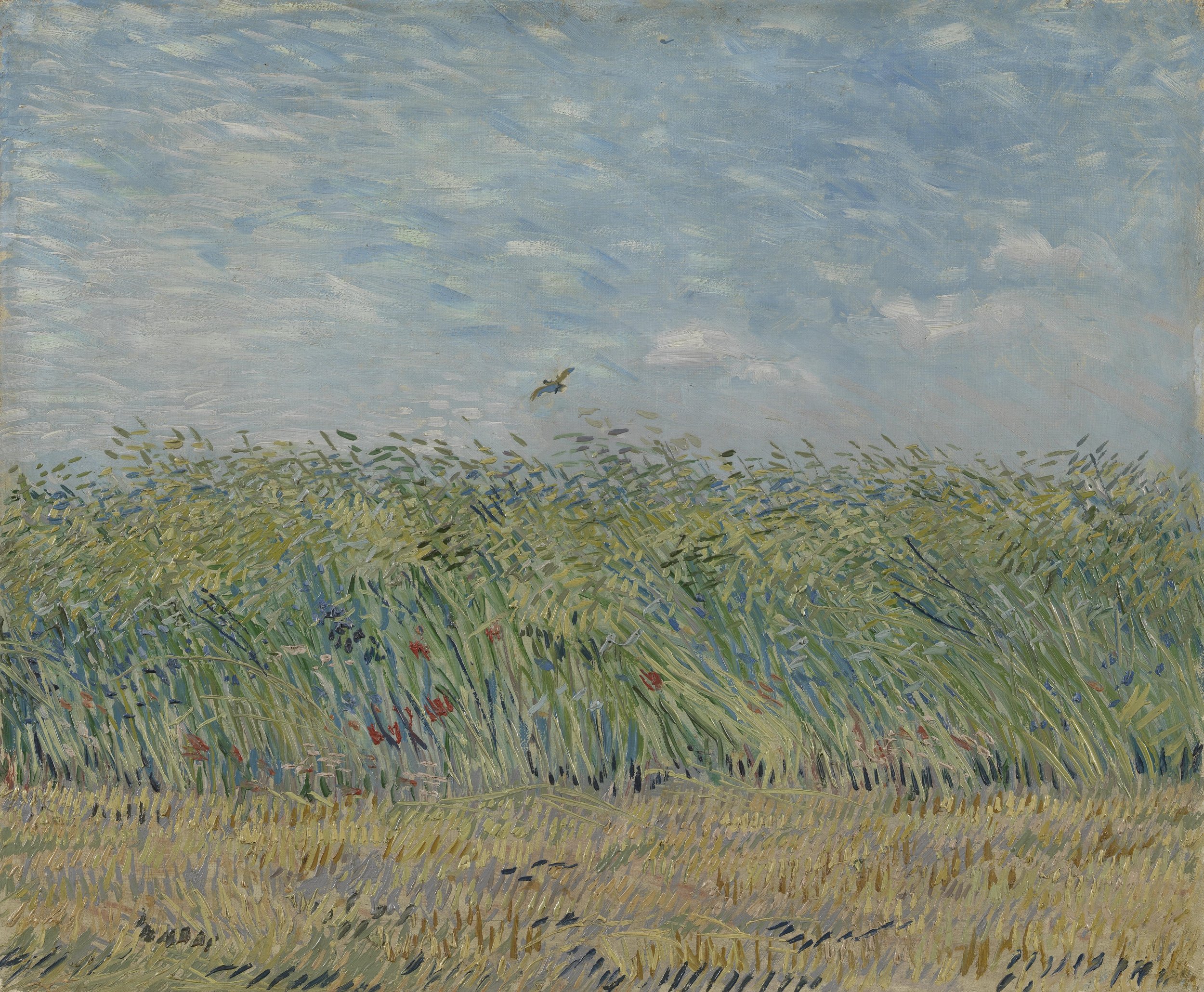 Wheatfield with partridge 1887
