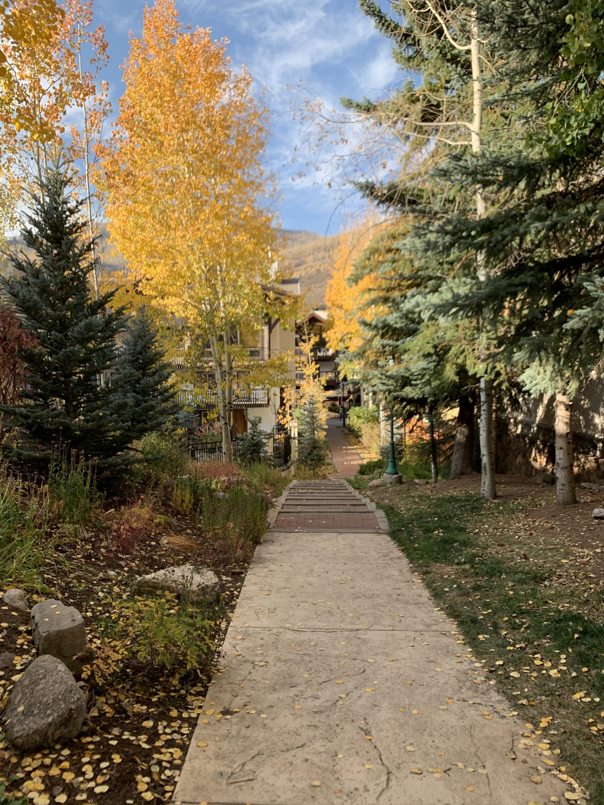 fall colors in vail village