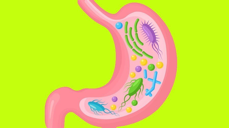 How Your Gut Microbiome Impacts Your Overall Health