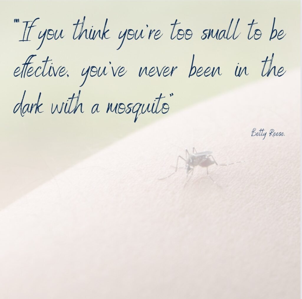 if you think you are too small to be effective you've never been in the dark with a mosquito