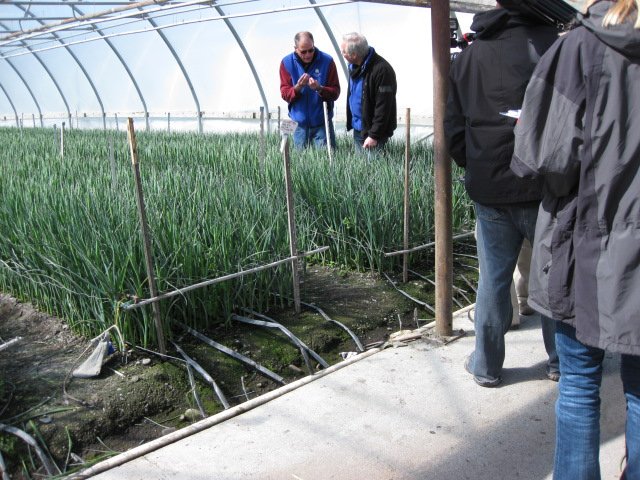 Lane and J at Sun Valley Iris Greenhouses in Arcata!