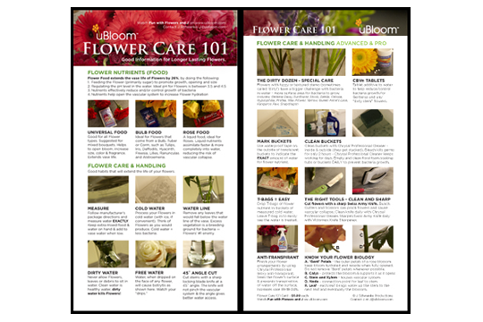 Flower Care 101 Card_storeimage