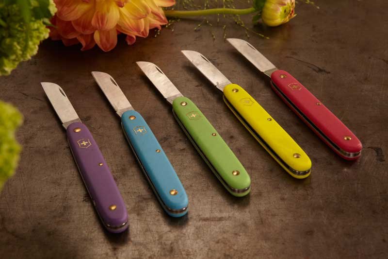 Choose your knife color!
