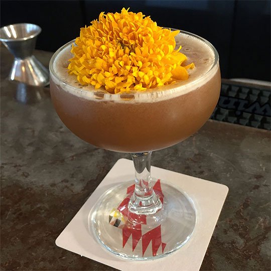 Marigold Agave Cocktail- served at Donkey Taqueria on J Schwanke's Life in Bloom
