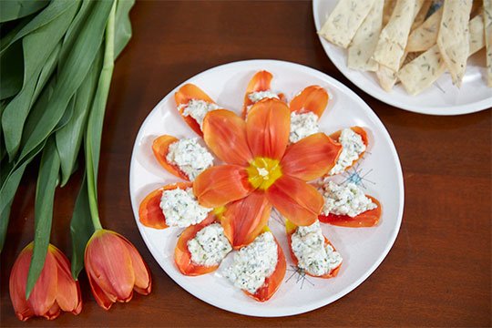 Herb infused Goat Cheese