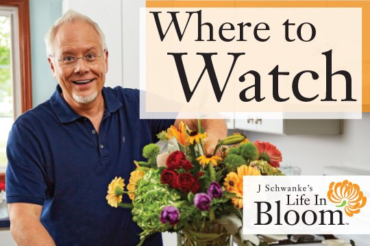 Watch Life in Bloom on PBS