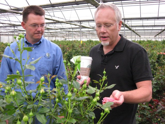 Chad Nelson and J Schwanke discuss new spray rose varieties!