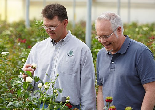 Chad shows J the New Garden Rose Varieties at Eufloria Flowers!