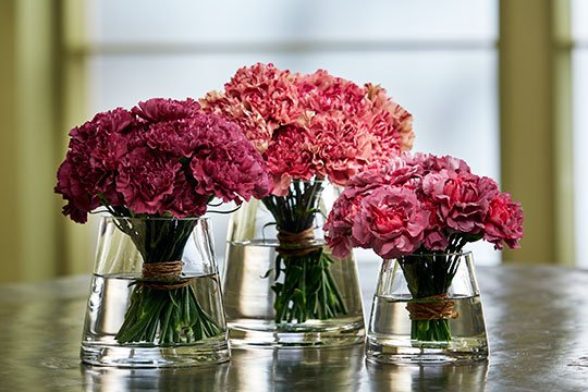 J shares tips for creating beautiful Carnation Vase arrangements on Life in Bloom!