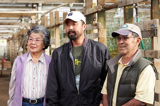 The Akiyama Family- Japanese Americans farming carnations with their son Ben.