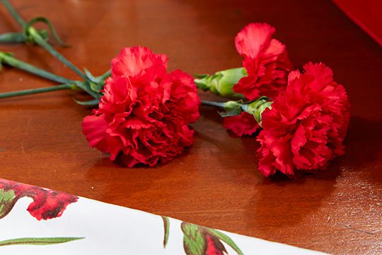 The Red Carnation has always been part of my family history!