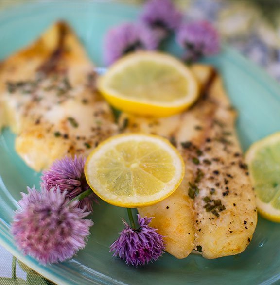 Chive Blossoms and Lemon wheels are the perfect garnish for J Schwanke's Life in Bloom Orange Roughy Recipe!
