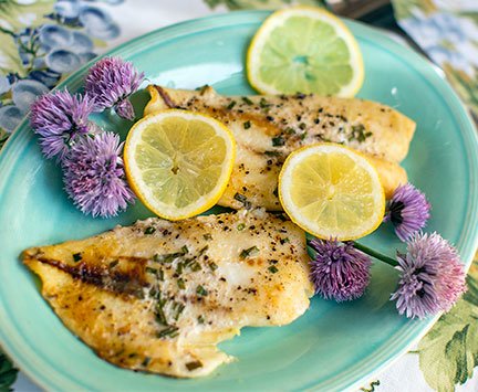Chive blossoms are a wonderful flower garnish for this Orange Roughy Dish! 