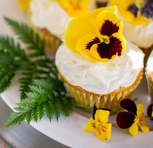 Edible Sugar Flowers is the Recipe in Bloom this week on Life in Bloom!