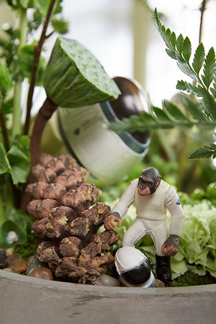With a crash landing- J adds a little fun with action figures in the Florida Fern Arrangement!