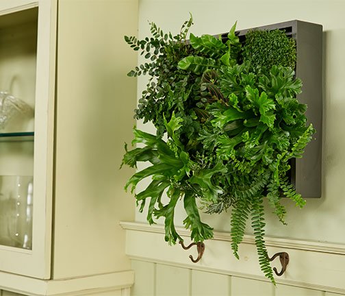 J shows how to plant a wall planter for living green art on Life in Bloom!