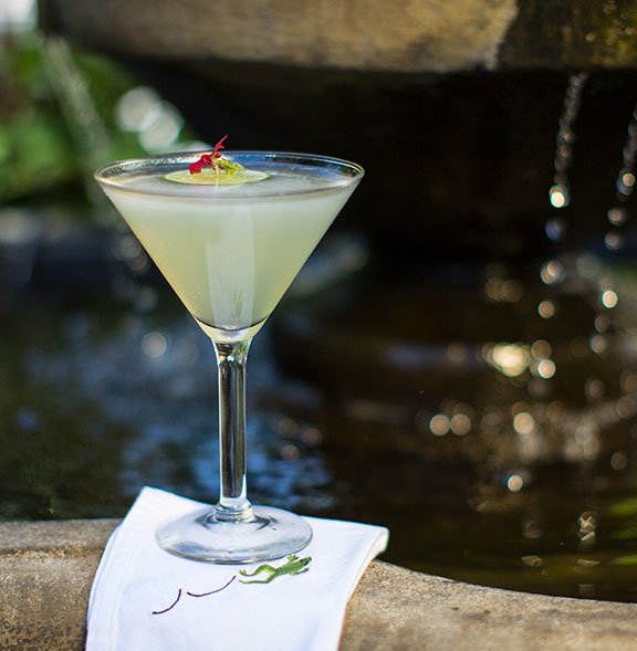 Featured on J Schwanke's Life in Bloom- this Frog inspired cocktail is a #flowercocktailhour Favorite!