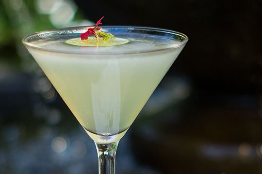J shares is recipe for a Juicy Frog Cocktail- inspired by the visitors to the garden fountain!