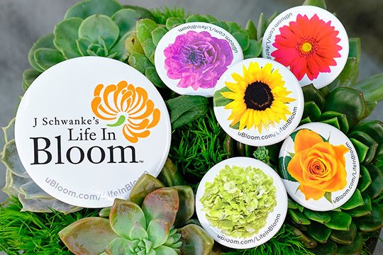 Life in Bloom Buttons